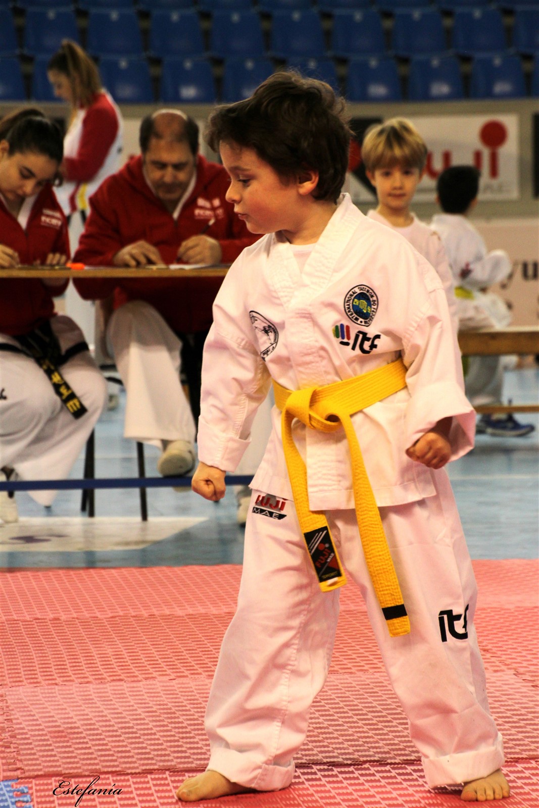 Taekwondo (113).jpg
